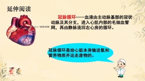 初中生物学>人教版（新课程标准）七年级下册4.4.3 输送血液的泵──心脏课件(共23张PPT)