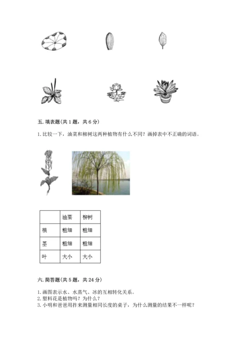 教科版一年级上册科学期末测试卷附下载答案.docx