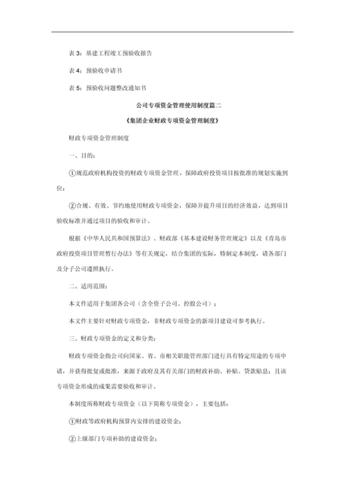 公司专项资金管理使用制度篇一.docx