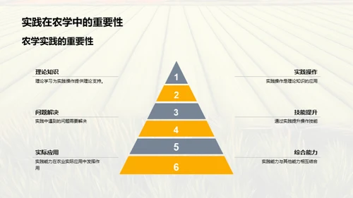农学实践技能提升