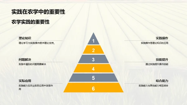 农学实践技能提升