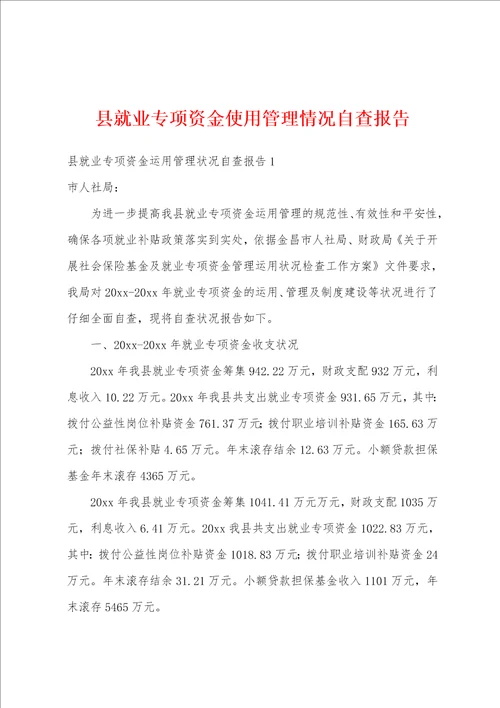 县就业专项资金使用管理情况自查报告