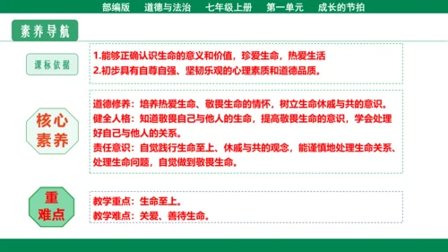 8.2敬畏生命 课件