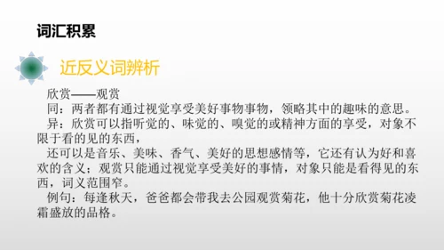 2美丽的鹿角  课件