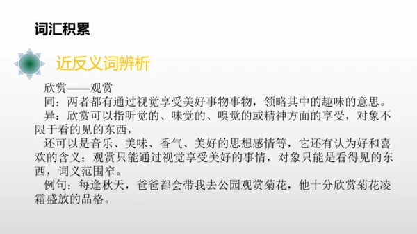 2美丽的鹿角  课件