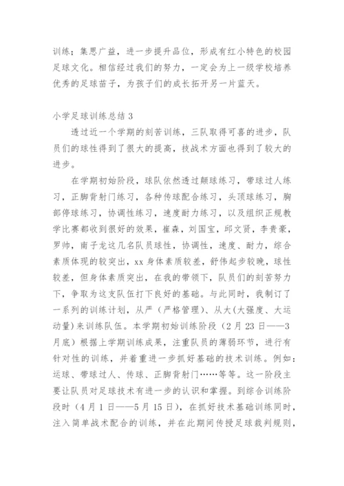 小学足球训练总结.docx