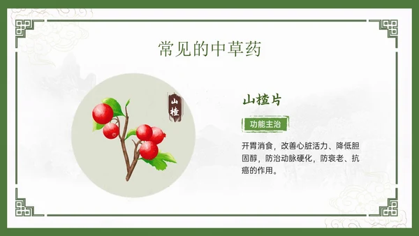 绿色中国风古风神奇中草药主题班会PPT模板中医药
