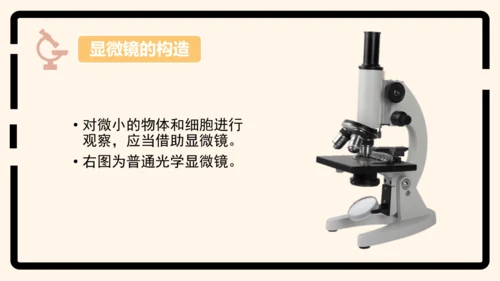 2.1.1练习使用显微镜课件2023--2024学年人教版生物七年级上册(共32张PPT)