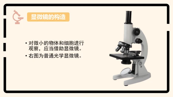 2.1.1练习使用显微镜课件2023--2024学年人教版生物七年级上册(共32张PPT)