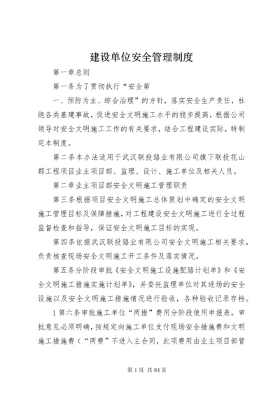 建设单位安全管理制度.docx