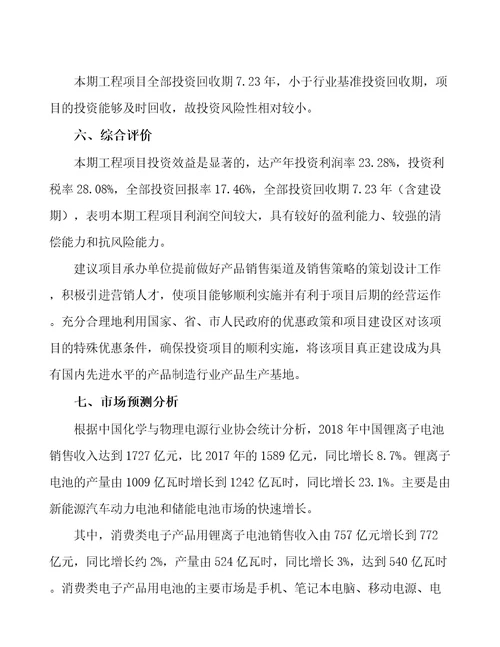 四川锂离子动力电池生产制造项目财务分析报告