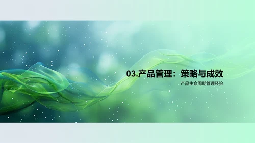 互联网产品管理述职报告PPT模板