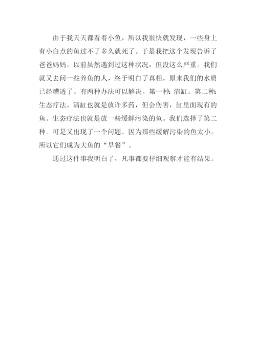 有趣的发现作文300字-1.docx