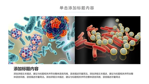 医疗细菌病毒微生物细胞组织动态ppt模板