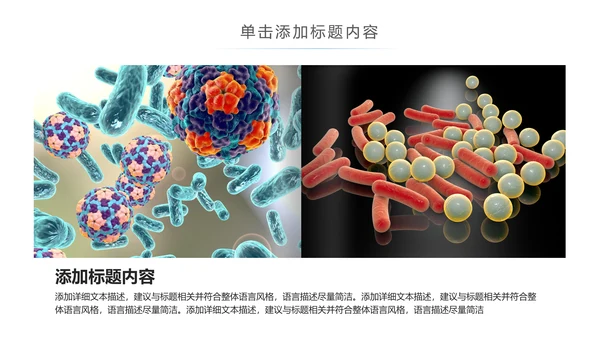 医疗细菌病毒微生物细胞组织动态ppt模板