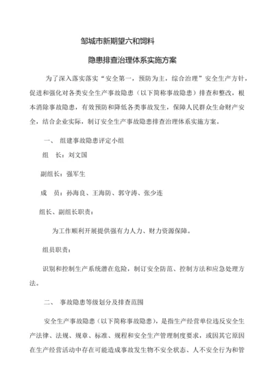 新希望六和饲料有限公司隐患排查治理综合体系实施专业方案.docx