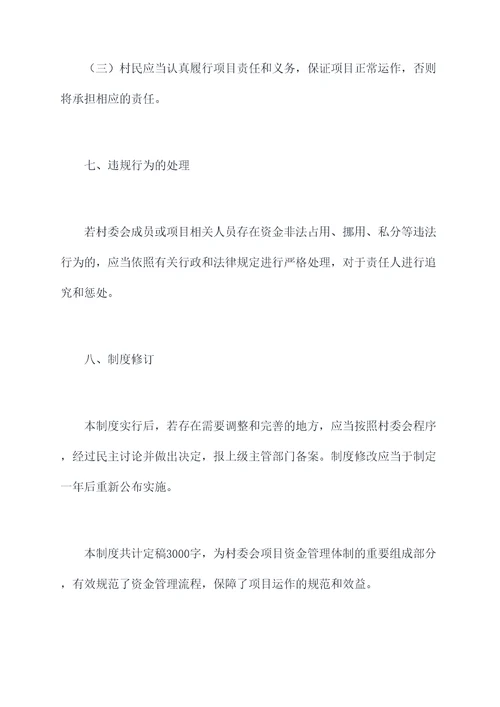 村项目资金管理制度