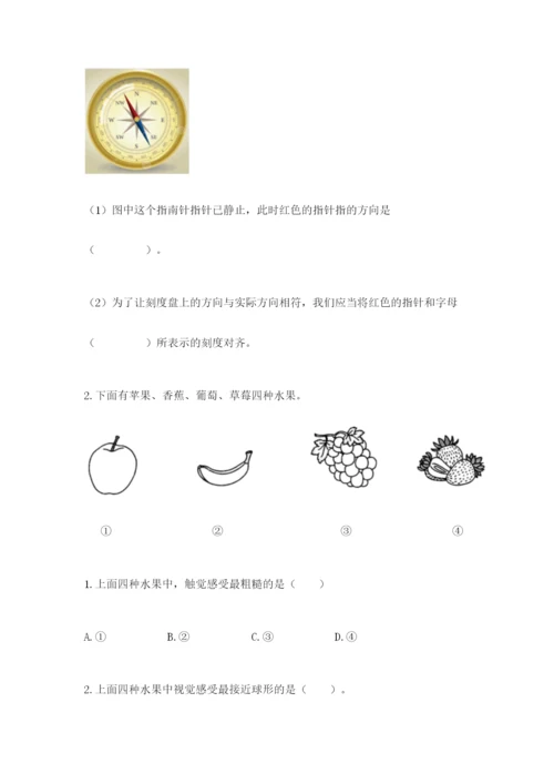 教科版小学科学二年级下册 期末测试卷【精练】.docx