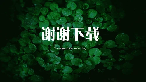 绿色叶子一叶一菩提通用PPT模板