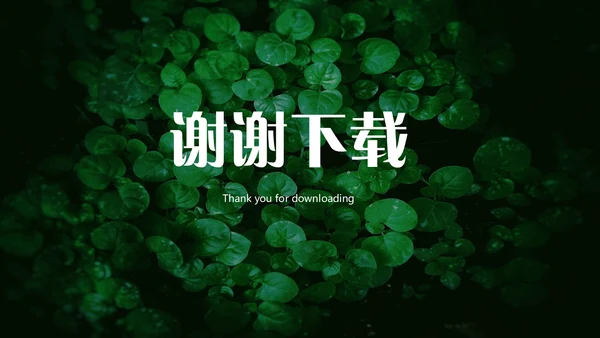 绿色叶子一叶一菩提通用PPT模板
