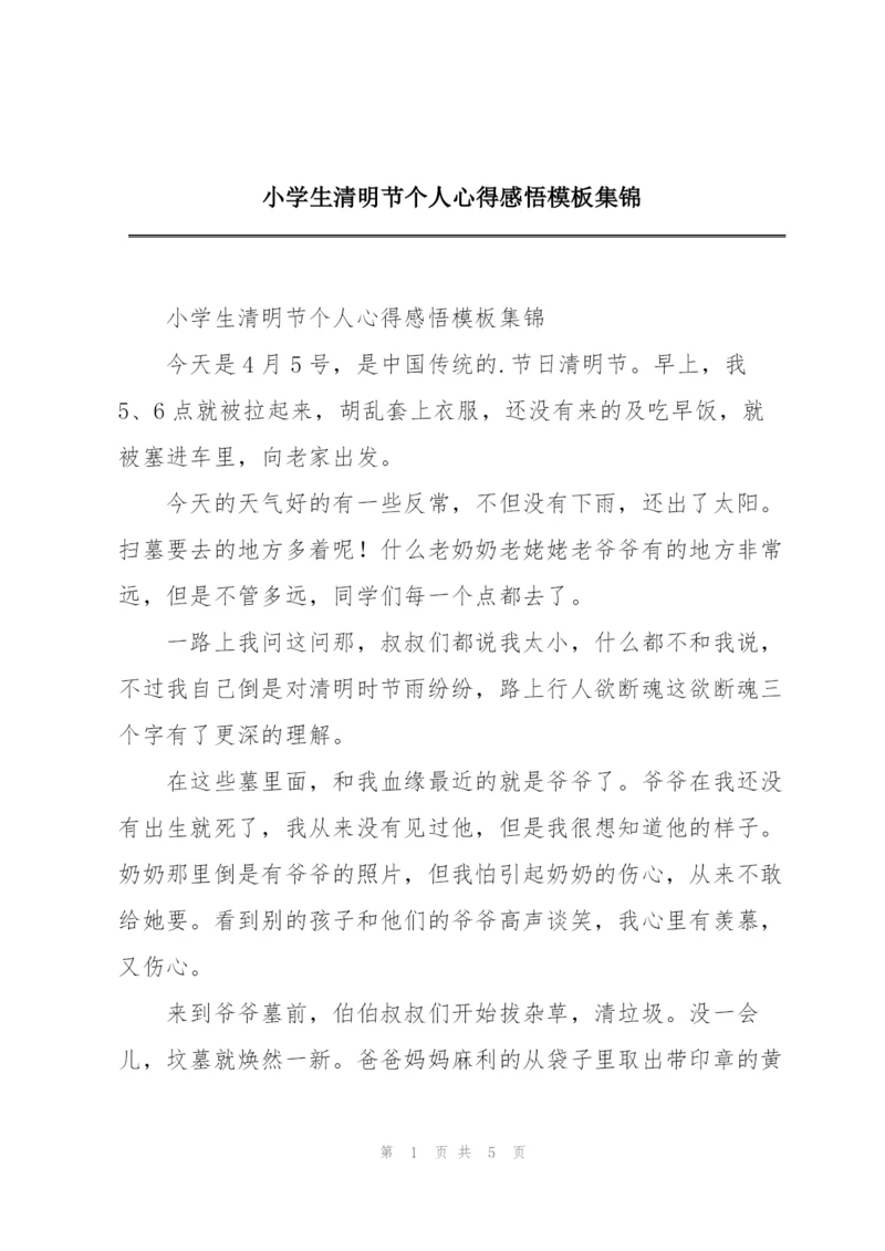 小学生清明节个人心得感悟模板集锦.docx