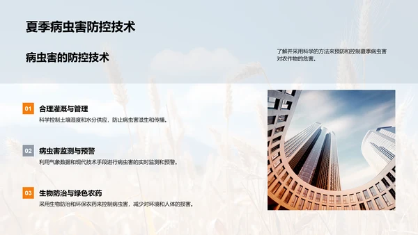 夏至农业气候指导