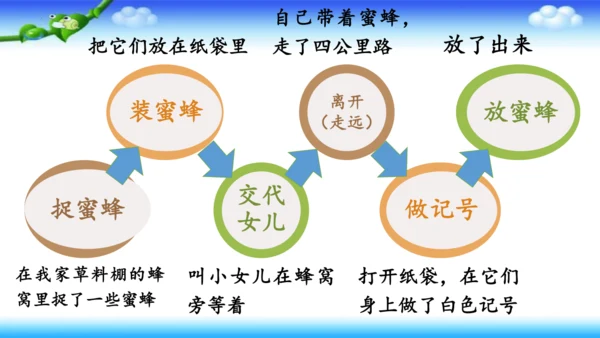 14《蜜蜂》课件