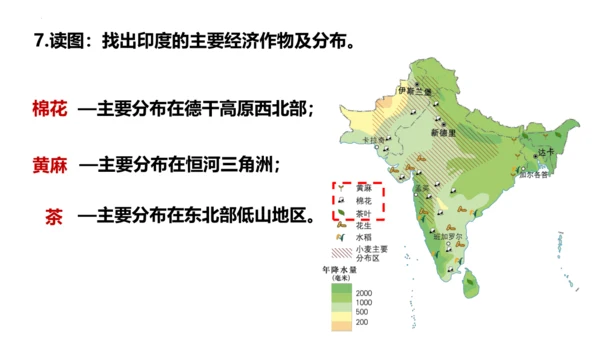 7.3 印度（第2课时）（课件29张）-七年级地理下册（人教版）