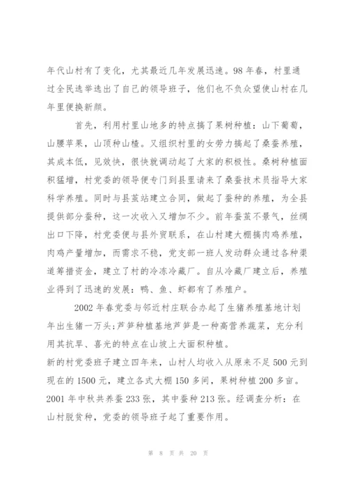 新农村建设调查报告范文.docx
