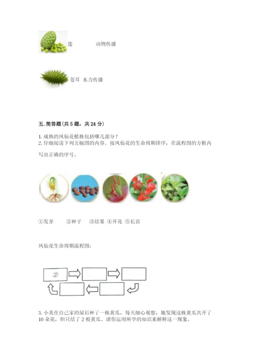 科学四年级下册第一单元《植物的生长变化》测试卷【精品】.docx