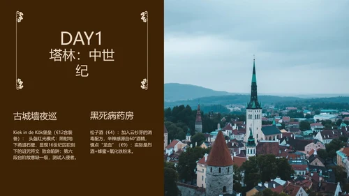 褐色简约风欧洲旅行攻略模板