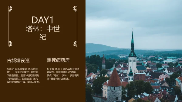 褐色简约风欧洲旅行攻略模板