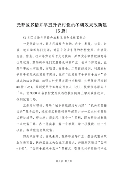 尧都区多措并举提升农村党员冬训效果改新建[5篇] (2).docx