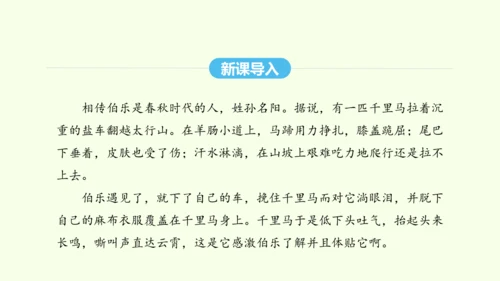 第23课 马说 统编版语文八年级下册 同步精品课件