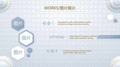 简约室内设计方案汇报工作总结PPT