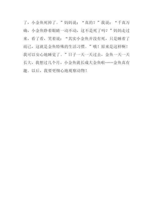 小学四年级观察作文.docx