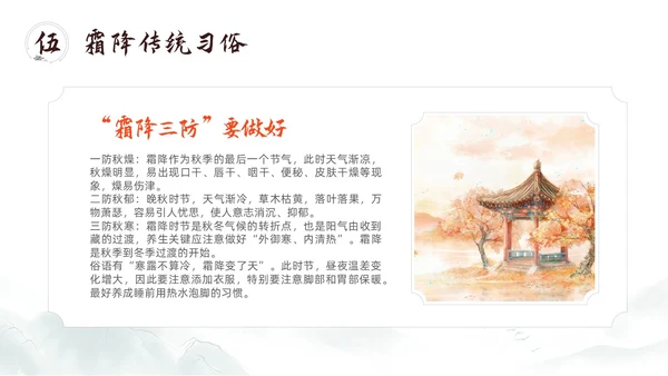 简约中国风二十四节气霜降传统节日培训主题通用PPT