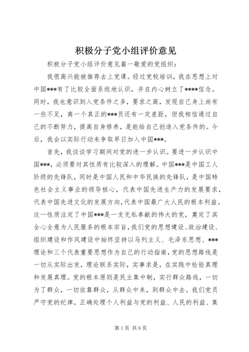 积极分子党小组评价意见.docx