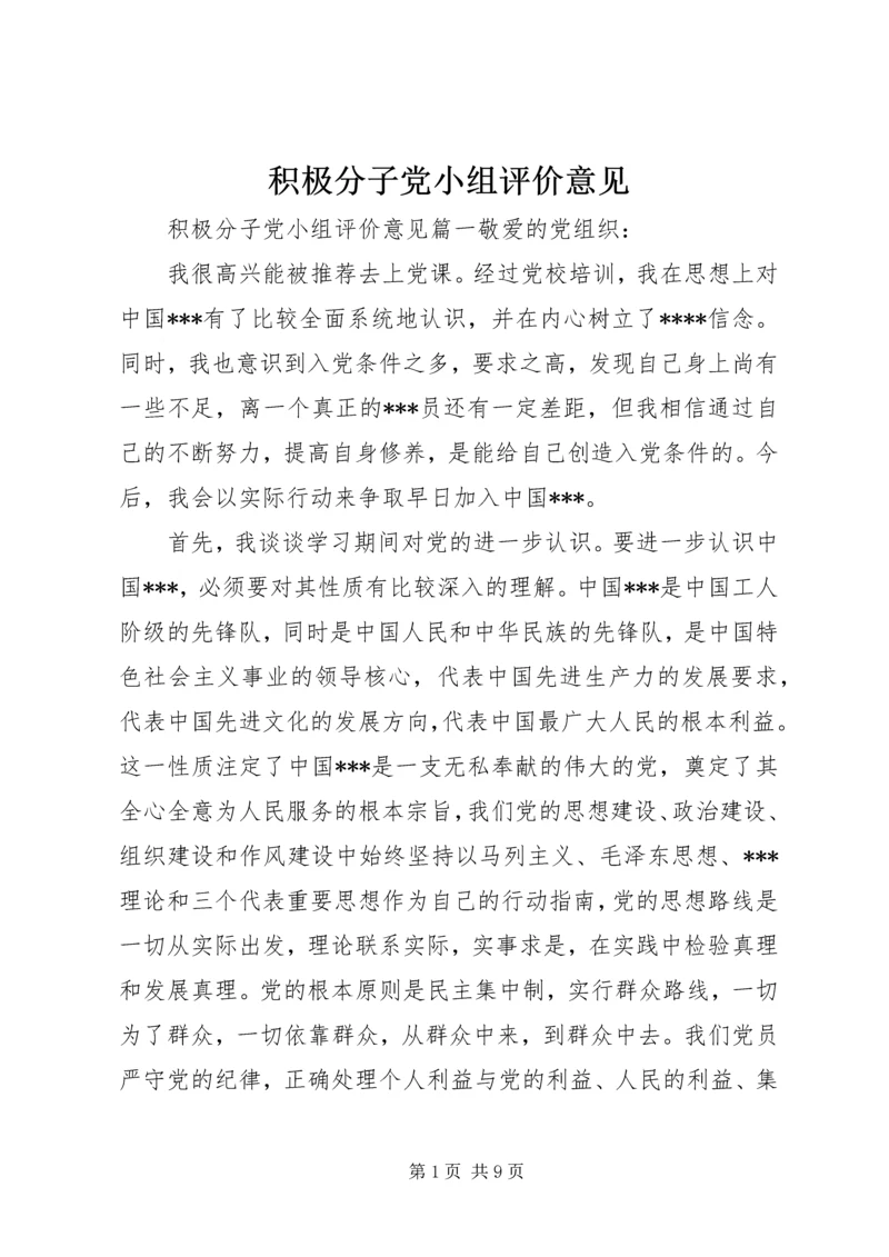 积极分子党小组评价意见.docx