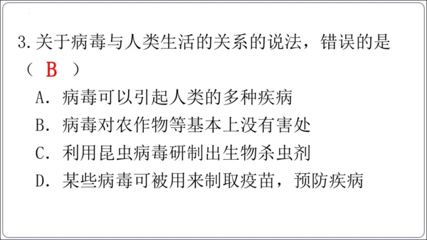 5.5第五章 病毒【2024秋人教八上生物精彩课堂（课件内嵌视频）】(共28张PPT)