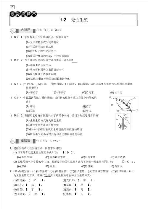 课后练习本教用细胞的分裂2