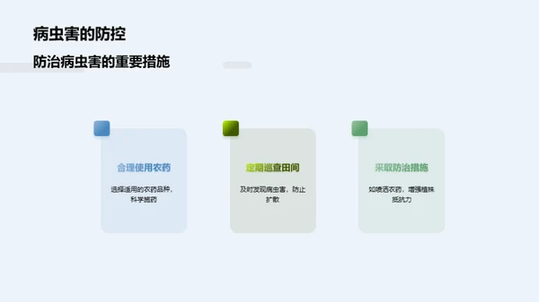 有机之选：茶叶新篇章