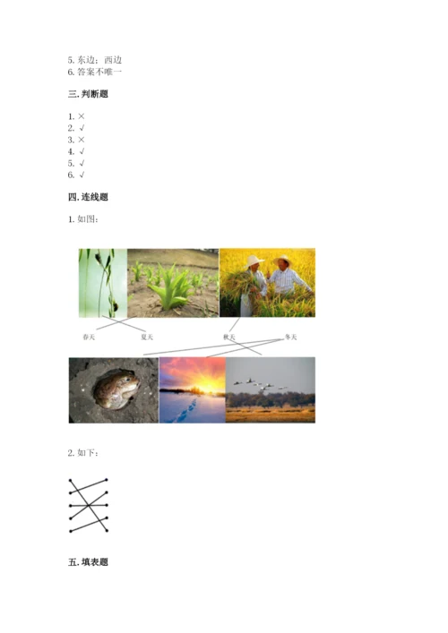 教科版小学二年级上册科学期末测试卷【考点精练】.docx