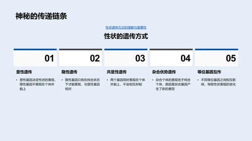 遗传学基础教学PPT模板