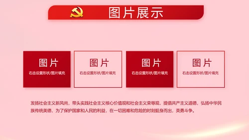 红色党支部党员代表大会工作总结PPT
