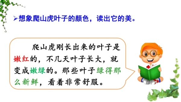 10 爬山虎的脚  课件