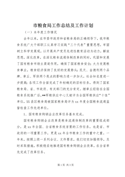 市粮食局工作总结及工作计划 (5).docx