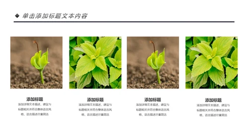 绿色唯美植物生长敬畏生命发芽PPT模板