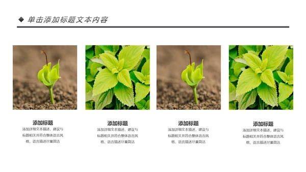 绿色唯美植物生长敬畏生命发芽PPT模板