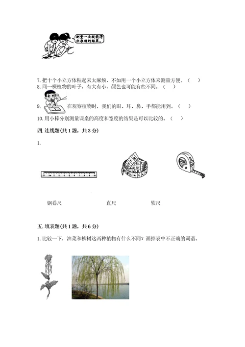 教科版科学一年级上册期末测试卷a4版打印